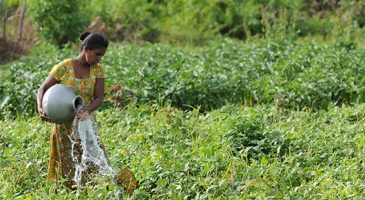 Making every drop count: Rethinking irrigation for global food security 